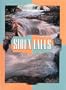 The Spirit of Sioux Falls (Urban Tapestry Series)