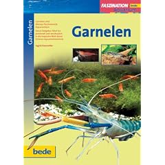 Garnelen, Faszination