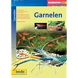 Garnelen, Faszinationvon "Ingrid Haunreiter"