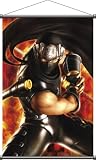 NINJAGAIDENΣ B2タペストリー リュウ・ハヤブサ