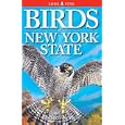 Birds of New York State by  Robert E. Budliger, Gregory Kennedy, Chris Fisher, and Andy Bezener