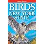 Birds of New York State