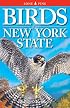 Birds of New York State
