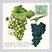 Book Posta Frutta - Postcard Book