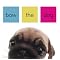 Dogs: Stories for Children - Canvas Dog Studio