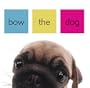 Bow the Dog