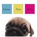 Bow the Dog