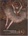 Impressionist & Nineteenth Century Art [Christie's, New York (8992) / 18 Nov 1998] by  ISBN B000CLPJIA