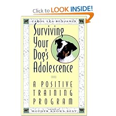 Surviving Your Dog's Adolescence: A Positive Training Program (Howell reference books)