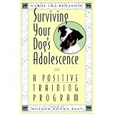 A Positive Training Program (Howell Reference Books)
