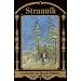 Strannik: The Call to the Pilgrimage of the Heart (Madonna House Classics) (Vol 3)