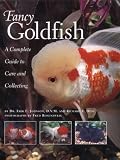 Fancy Goldfish: A Complete Guide to Care and Caring