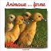 Animaux de la ferme