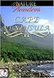 Nature Wonders  CAPE PENINSULA - Cape Of Good Hope South Africa