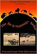 The Do It Yourself Safari