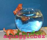 fish bowl Aquaglobez Unique Betta Fish Tank Aquarium Bowl Cat Tells