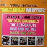 WILD WILD WINTER (ORIGINAL SOUNDTRACK LP VINYL, 1966)