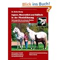 Ingwer, Meerrettich und S��holz in der Pferdef�tterung: Nahrungsmittel als wirksame Medizin