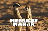 Meerkat Manor