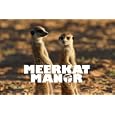 Meerkat Manor Season 1