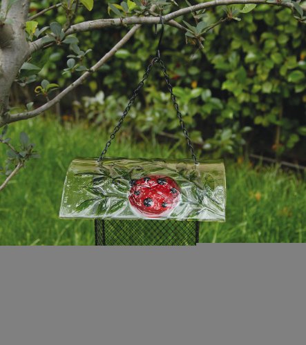 Delightful Lady Bug Square Bird Feeder