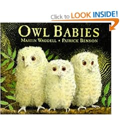 Owl Babies