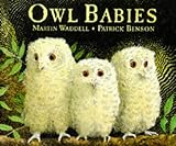 Owl babies