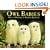 Owl Babies