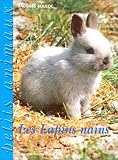 Les Lapins nains