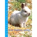 Les Lapins nains