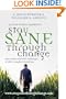 Stay Sane Through Change: How to Rise Above the Challenges of Life's Complex Transitions