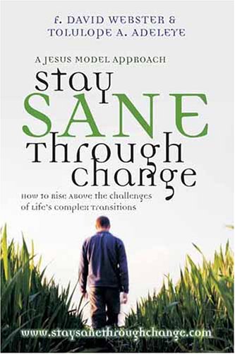 Stay Sane Through Change: How to Rise Above the Challenges of Life's Complex Transitions