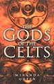The Gods of the Celts (Illustrated History Paperback Series)