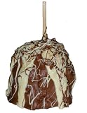 Awesome Almond Crunch Belgian Chocolate Caramel Apple