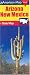 Book American Map Arizona, New Mexico: State Map (Travelvision State Maps)