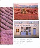 Reise durch die Provence - 