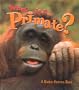 What Is a Primate? (Science of Living Things)