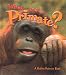 What Is a Primate? (Science of Living Things)