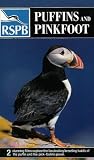 Puffins and Pinkfoot