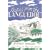Notes from the Languedoc