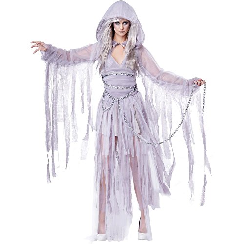 California Costumes Women's Haunting Beauty Ghost Spirit Costume, Gray, Small