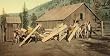 Burros Haul Lumber in the Rockies, ca. 1903 - Exceptional Print of a Vintage Photochrom Image from the Library of Congress Collection