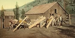 Burros Haul Lumber in the Rockies, ca. 1903 - Exceptional Print of a Vintage Photochrom Image from the Library of Congress Collection