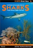 Sharks of Florida, The Bahamas, The Caribbean & The Gulf of Mexico (In depth divers' guide) Jeremy Stafford-Deitsch