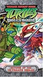 Teenage Mutant Ninja Turtles: Ways of the Warrior