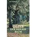 Olive: Der heilige Baum. Geschichten und Gedichte (insel taschenbuch)
