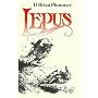 Lepus: The Story of a Hare