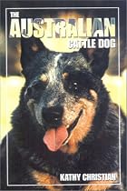 The Australian Cattle Dog