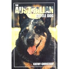 The Australian Cattle Dog
