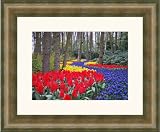 Picture Frame Goldreen w/ Antique Gold Panel .. 2.5'' wide